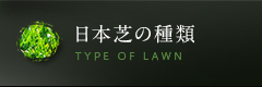 日本芝の種類