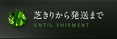 芝きりから発送まで